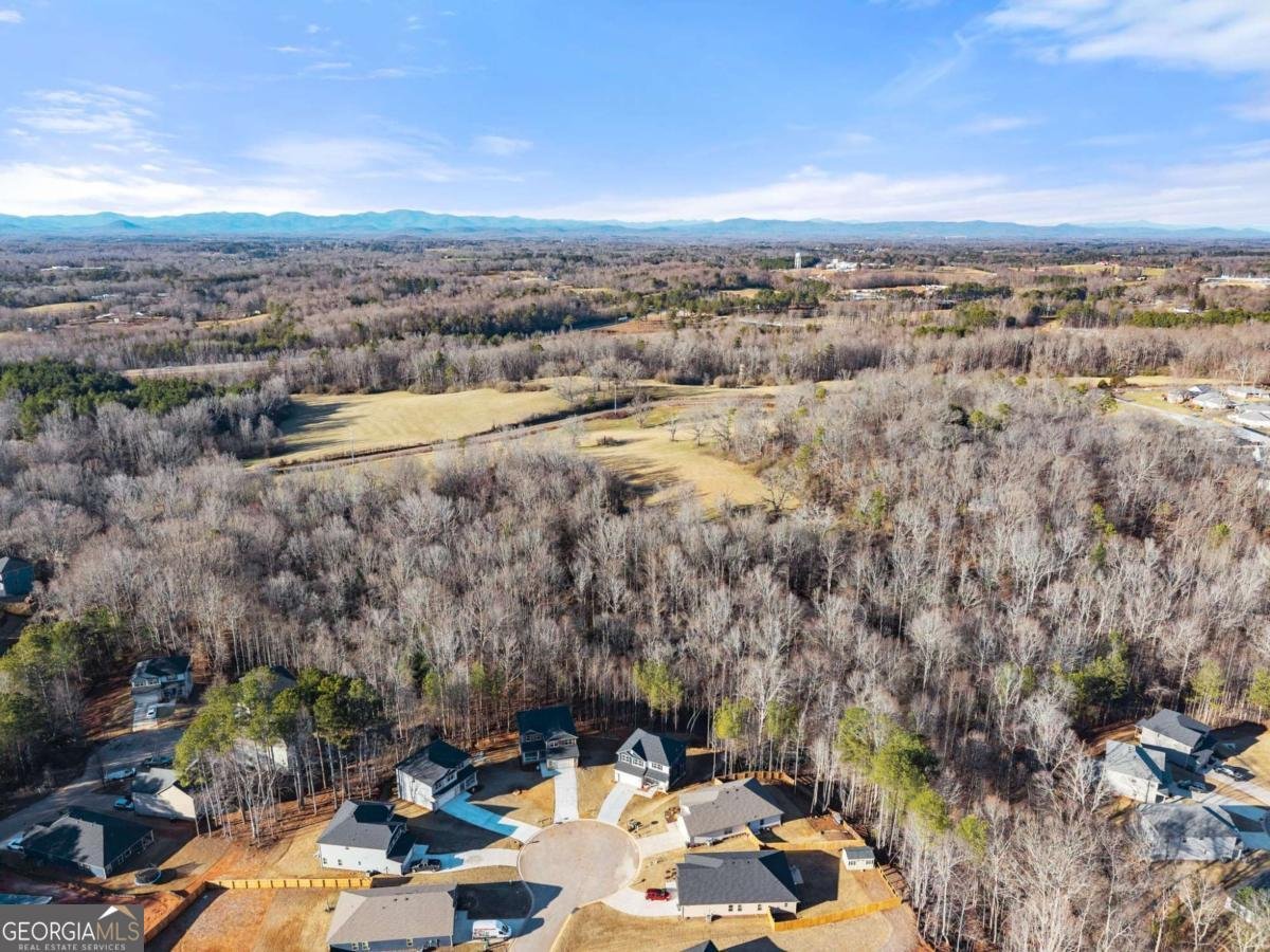 662 Forest Way Cornelia - Photo 52