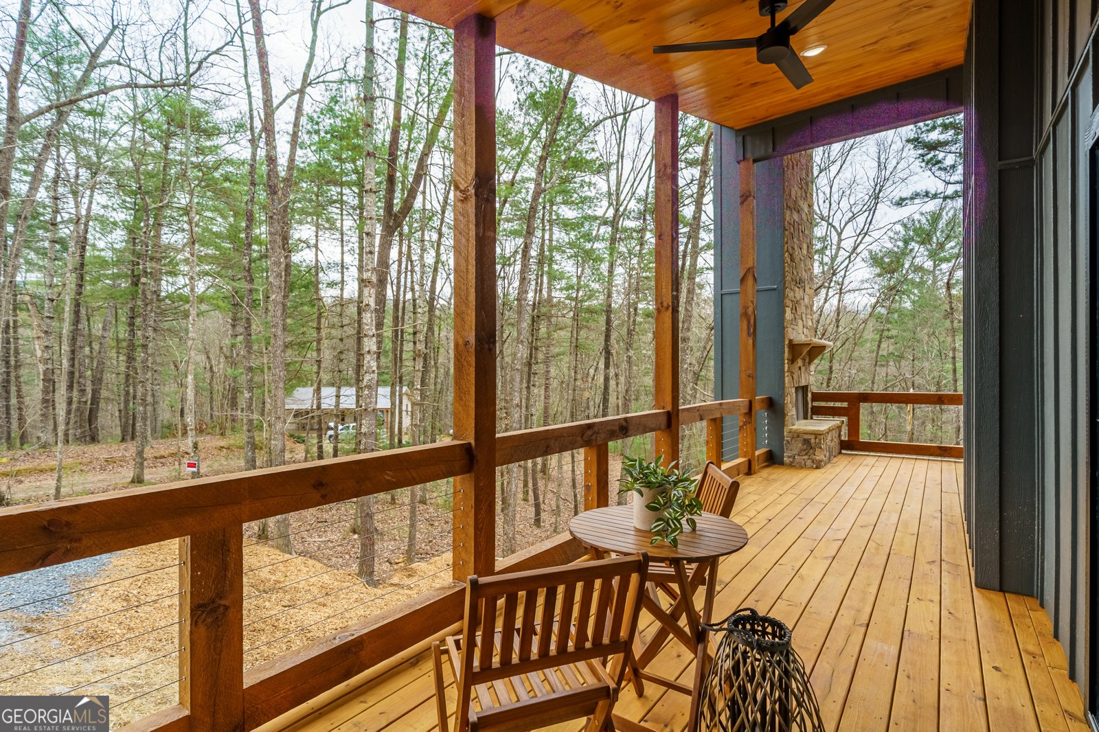 155 Doe Run Ellijay - Photo 46