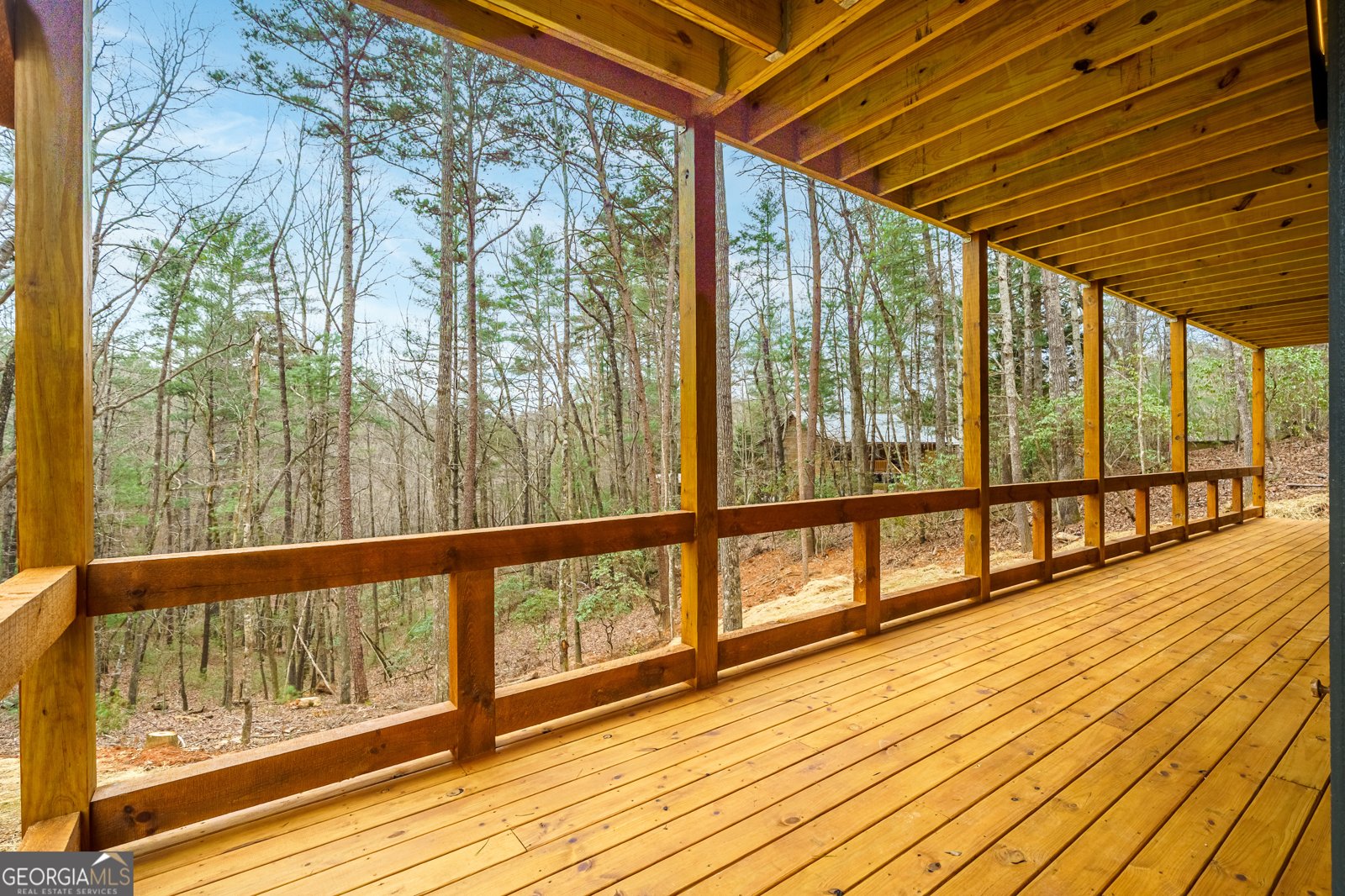 155 Doe Run Ellijay - Photo 53