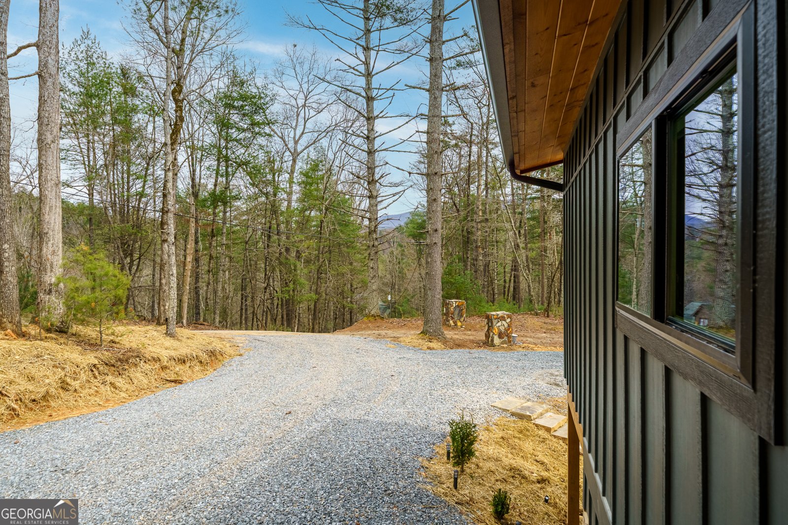 155 Doe Run Ellijay - Photo 57