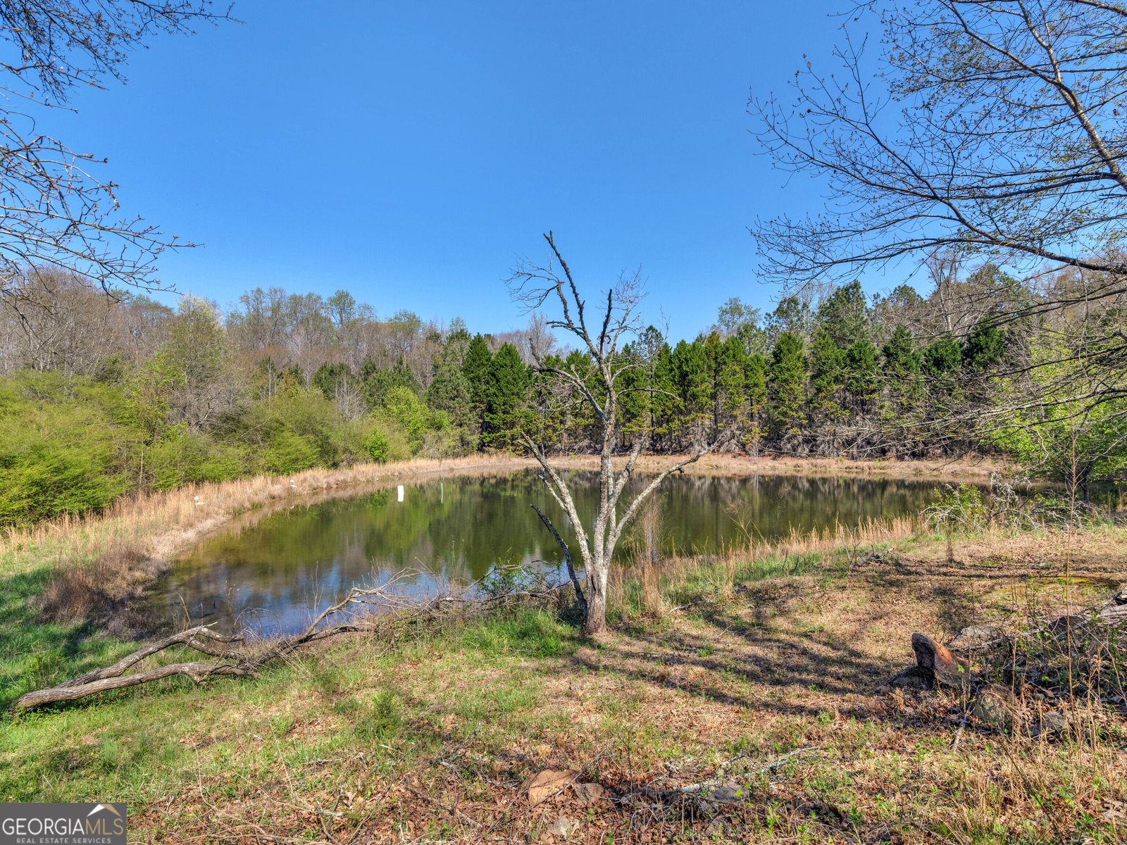 330 Anglin Road Griffin - Photo 45