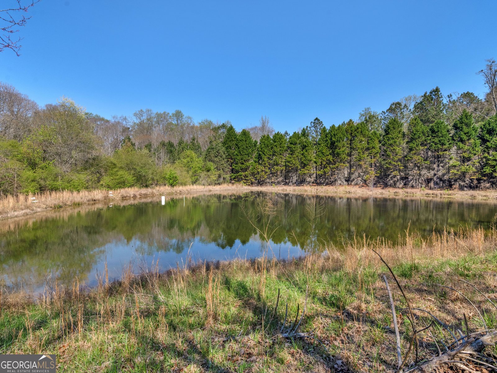 330 Anglin Road Griffin - Photo 46