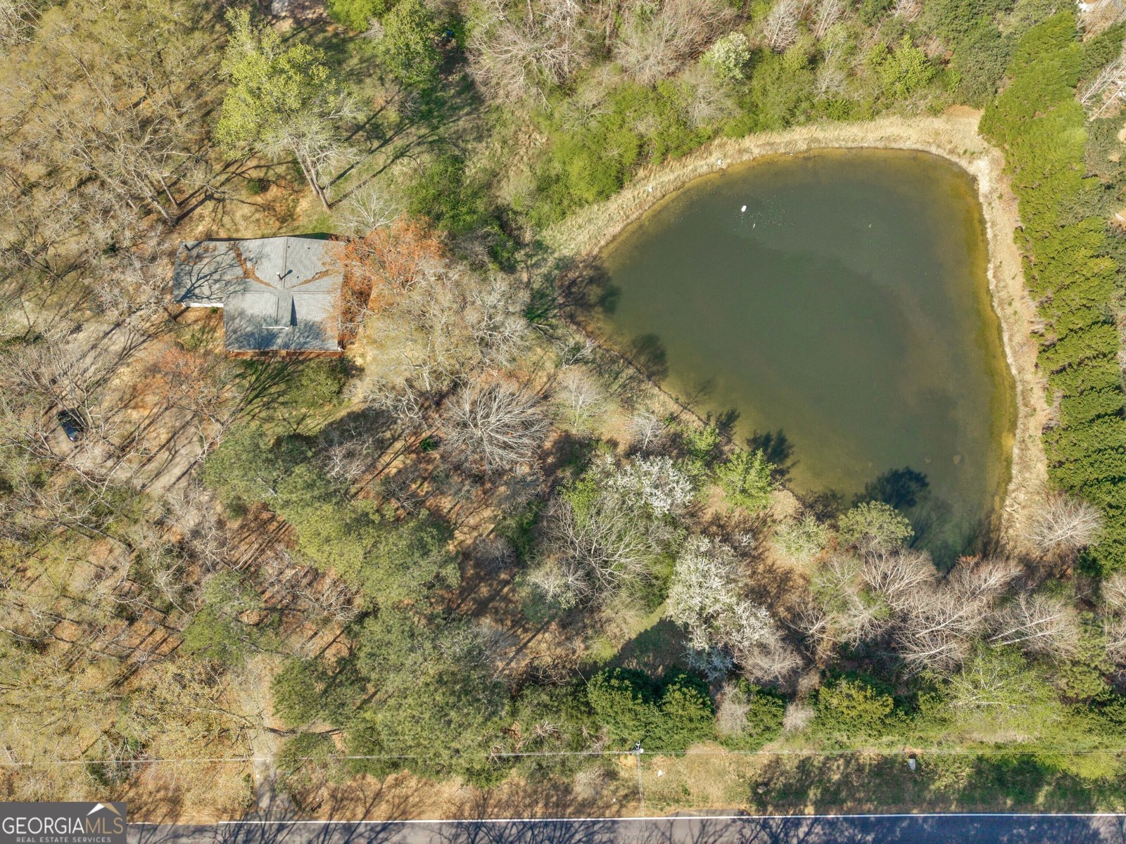 330 Anglin Road Griffin - Photo 49