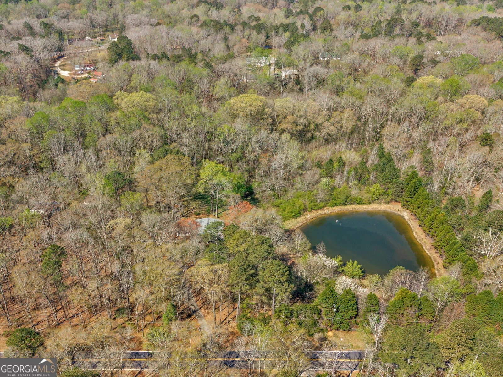 330 Anglin Road Griffin - Photo 50