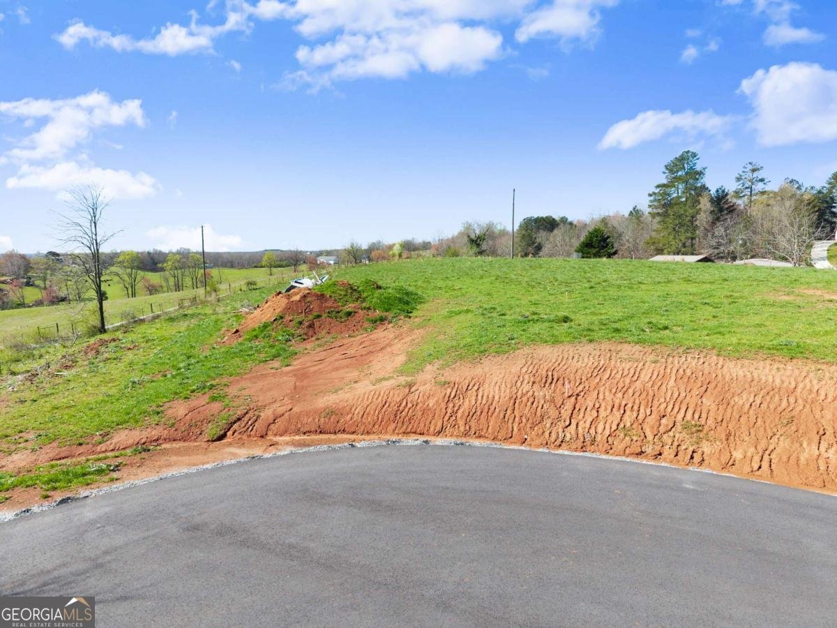 47 White Oak Court Cleveland - Photo 23