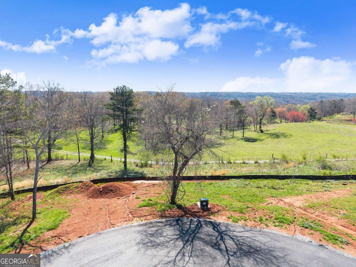 67 White Oak Court Cleveland - Photo 28