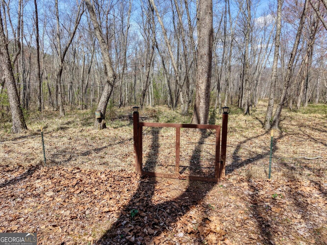 2561 Dune Road Hiawassee - Photo 54