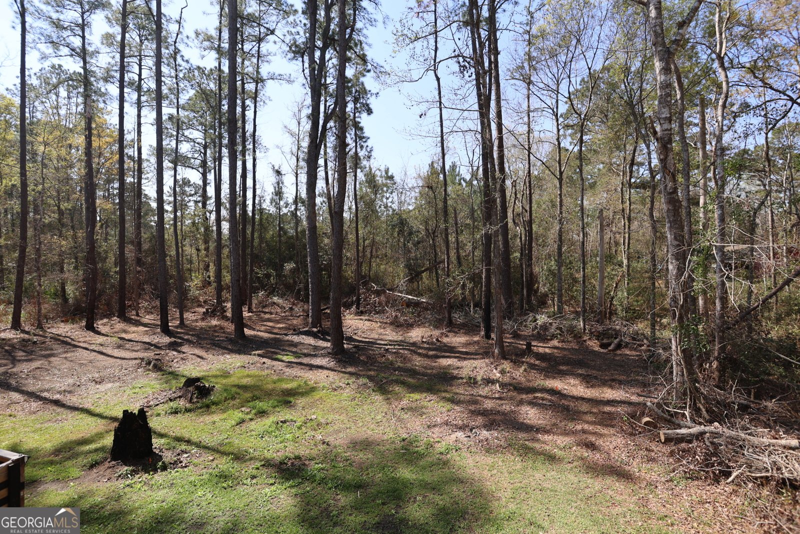 154 Buffalo Drive Brunswick - Photo 17