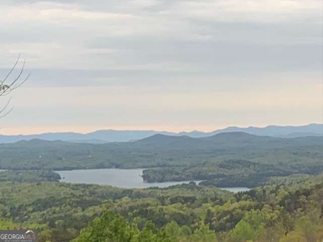 304 Ridge Circle Blue Ridge - Photo 11