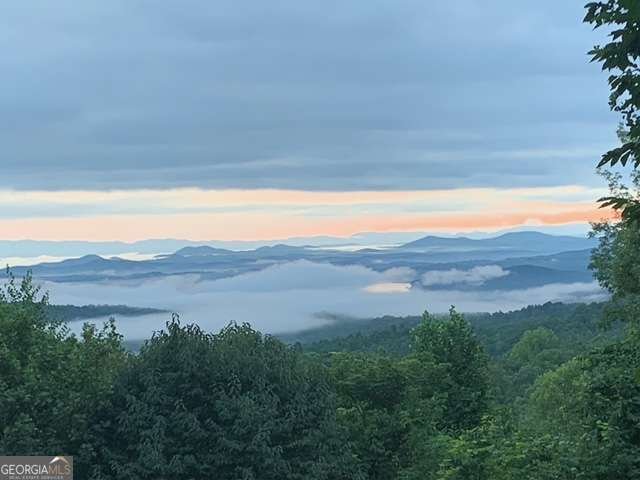 304 Ridge Circle Blue Ridge - Photo 25