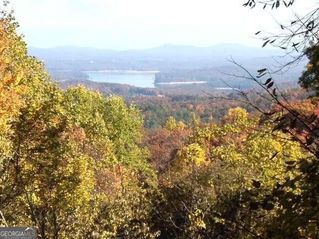 304 Ridge Circle Blue Ridge - Photo 45