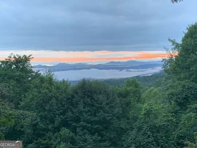 304 Ridge Circle Blue Ridge - Photo 46