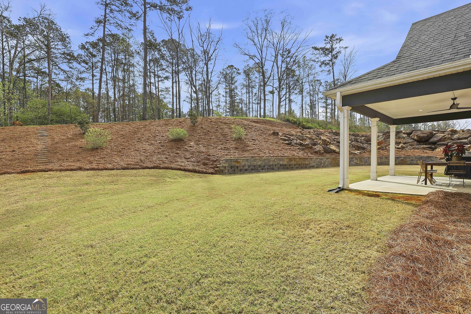 44 North Shore At Redwine Drive Drive Newnan - Photo 57