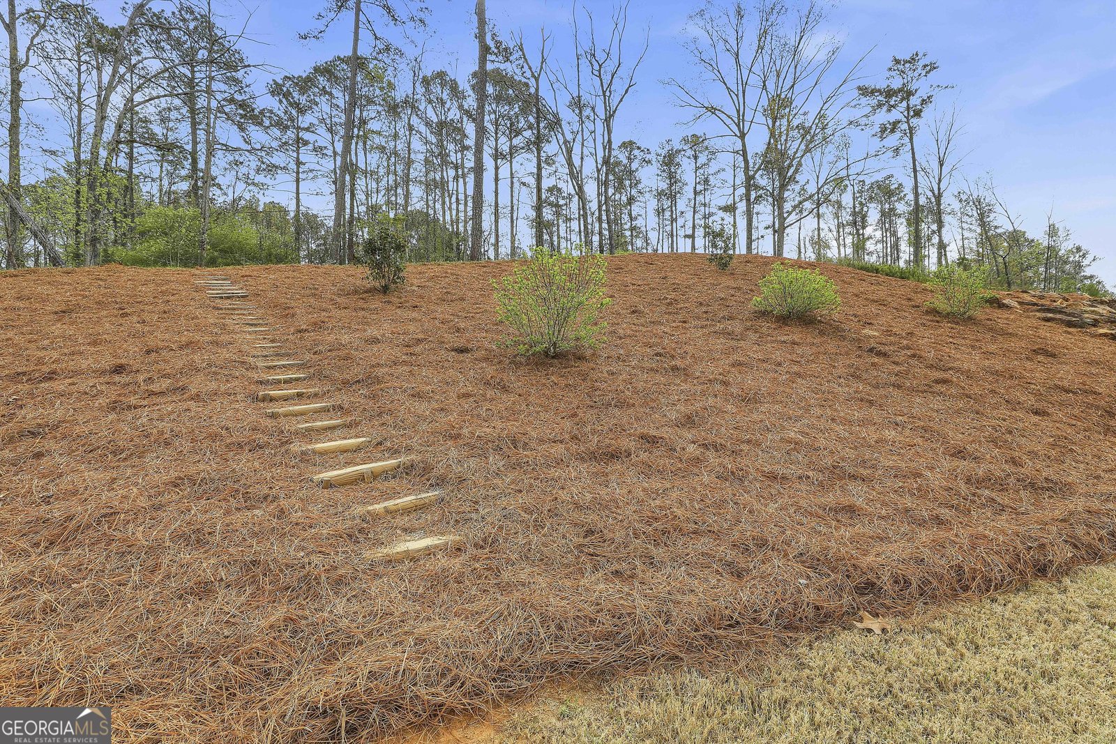 44 North Shore At Redwine Drive Drive Newnan - Photo 61