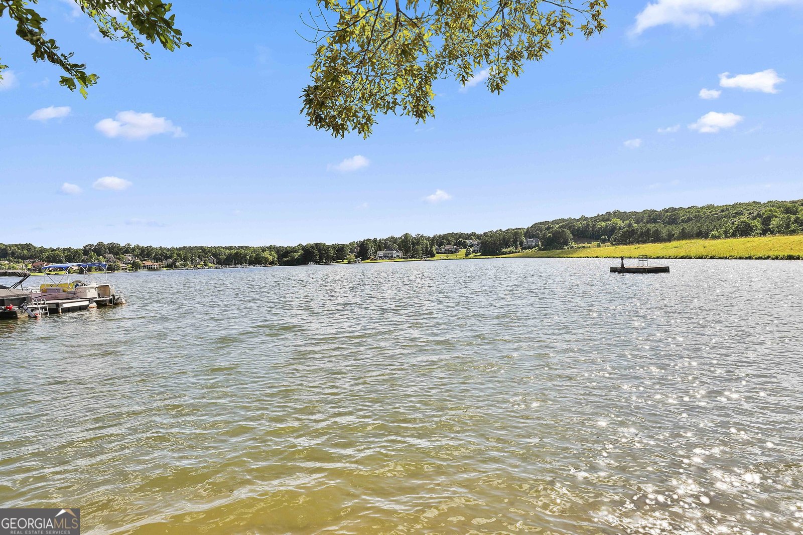 44 North Shore At Redwine Drive Drive Newnan - Photo 72