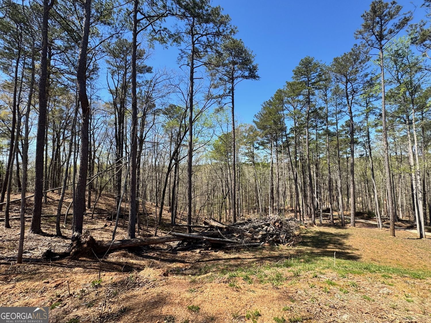 4285 State Rte 166 Douglasville - Photo 68