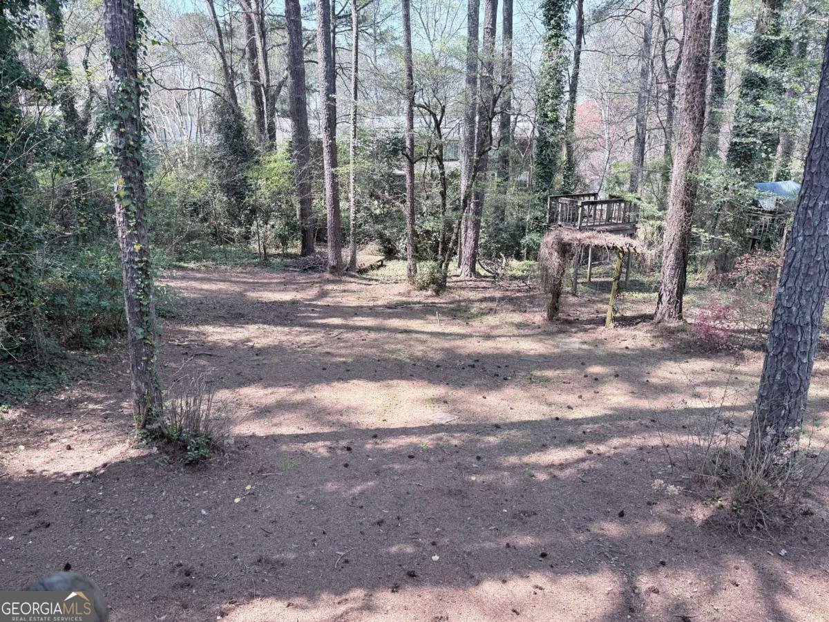 3775 Clubhouse Lane Conyers - Photo 50