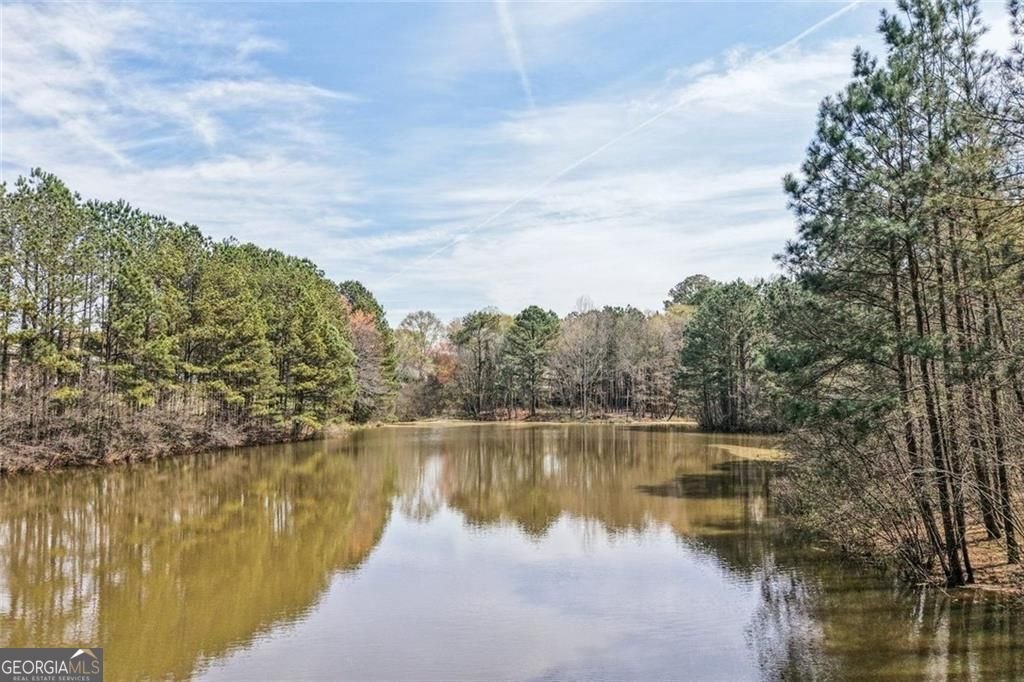 2122 Graystone Parkway Grayson - Photo 51