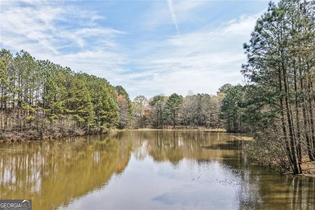 2122 Graystone Parkway Grayson - Photo 52