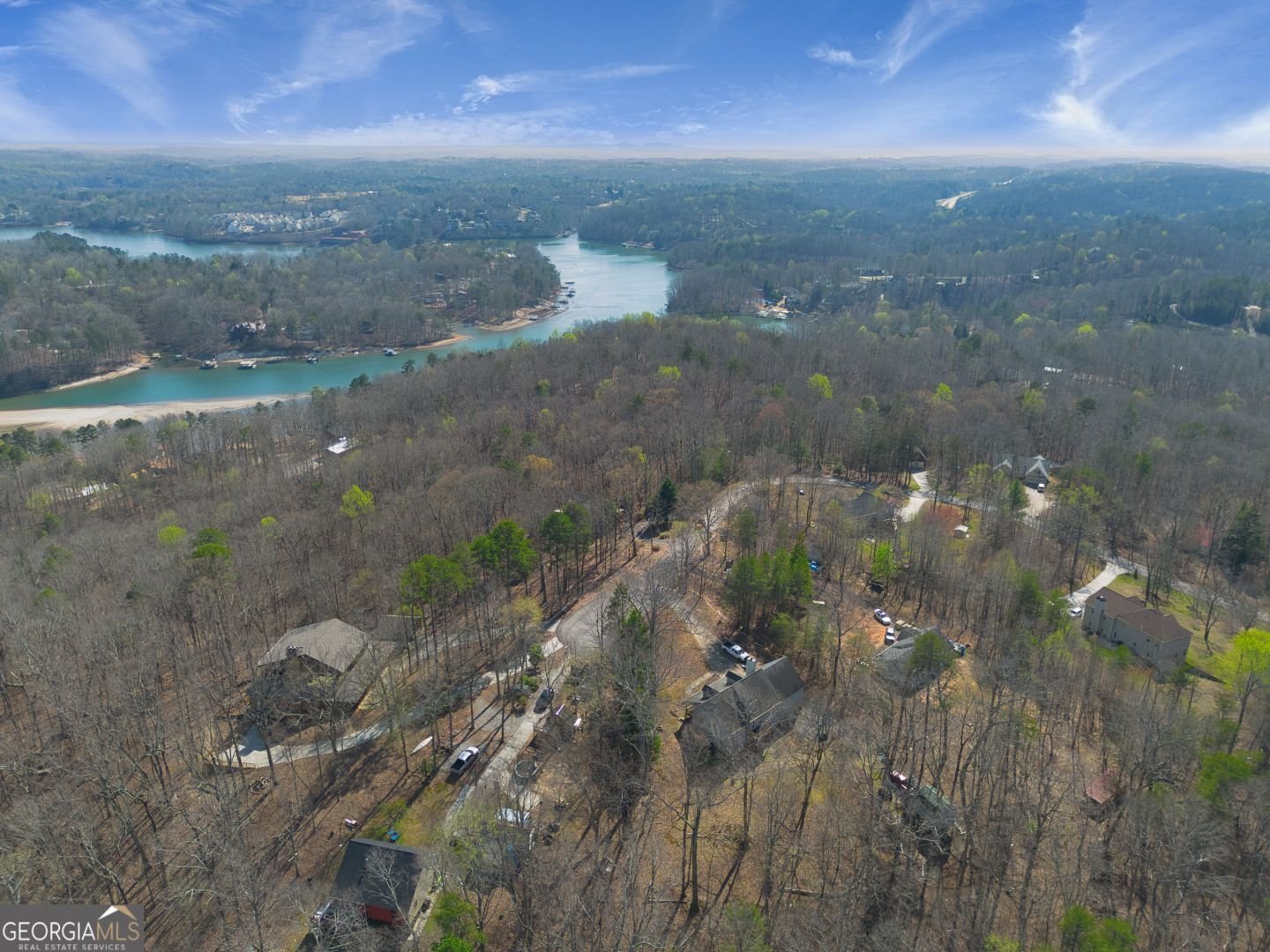 66 Cosmo Place Dahlonega - Photo 11