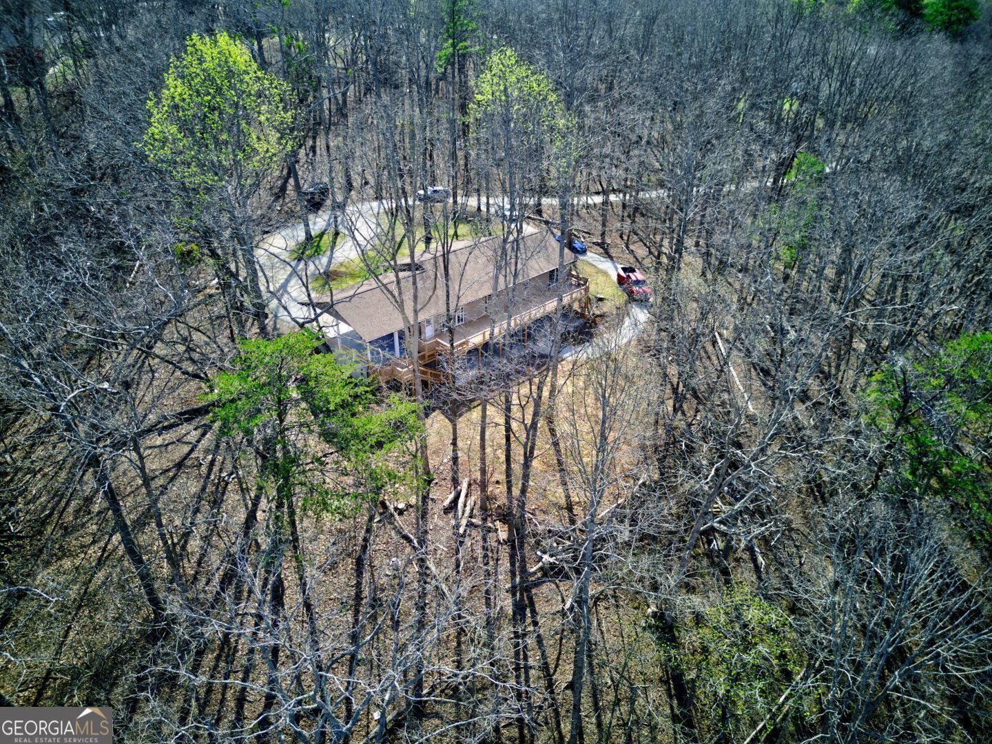 66 Cosmo Place Dahlonega - Photo 12