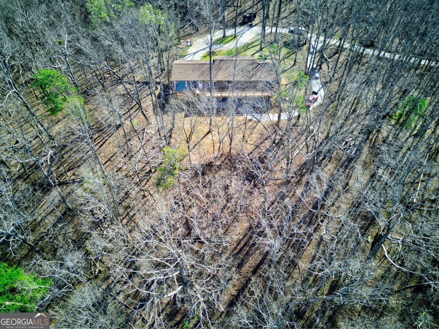 66 Cosmo Place Dahlonega - Photo 13