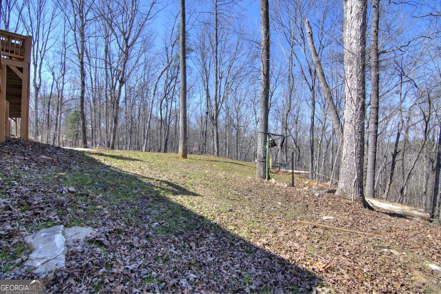 66 Cosmo Place Dahlonega - Photo 15