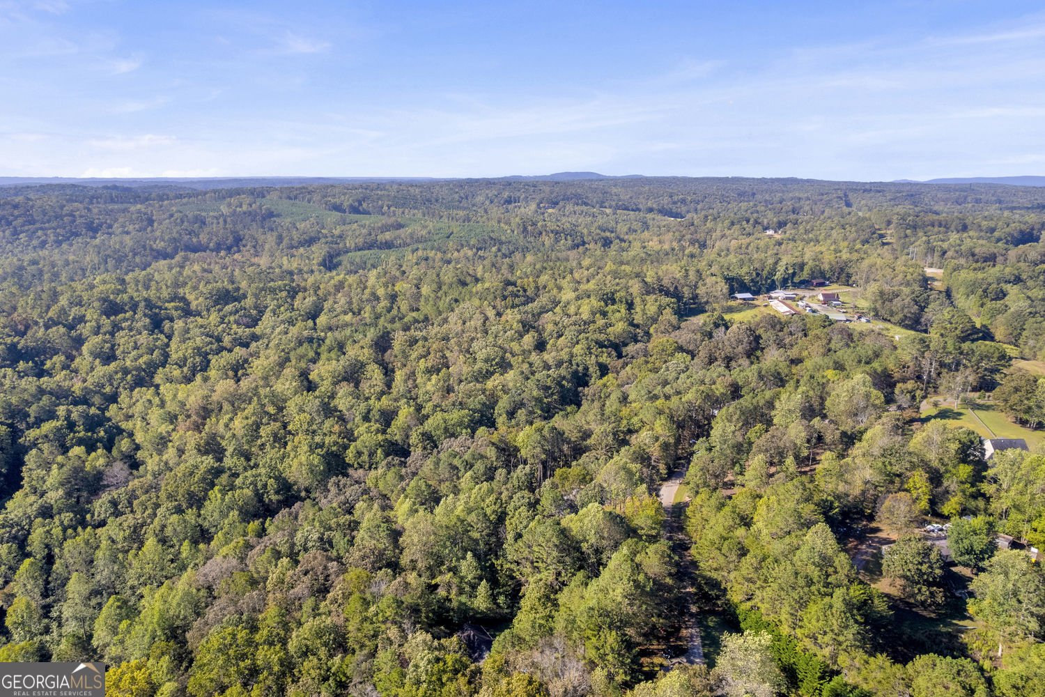 940 Essic Road Ball Ground - Photo 43