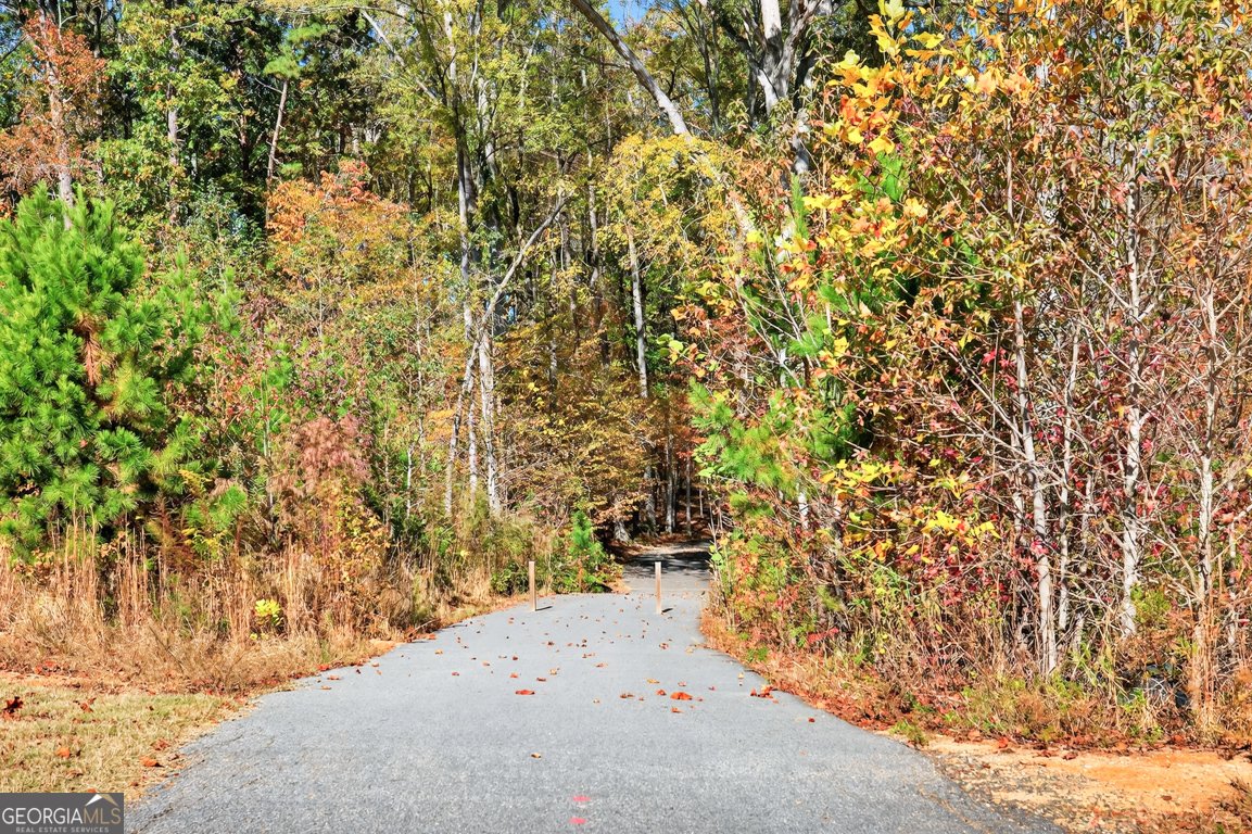 635 Rocky Springs Drive Jefferson - Photo 47