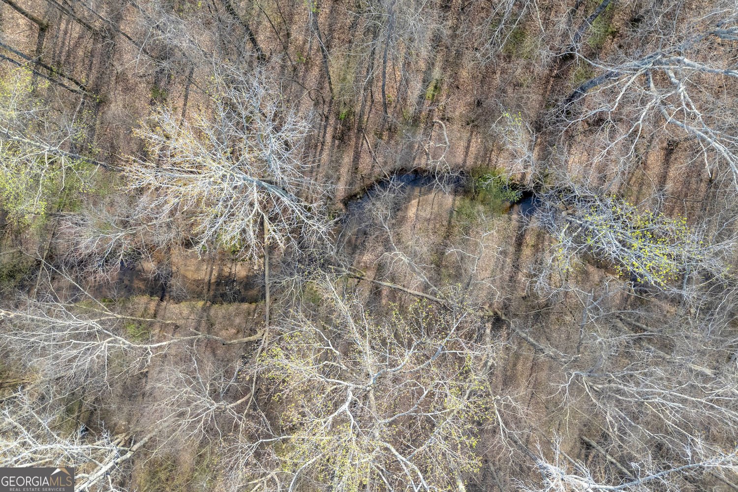 201 Wisteria Way Athens - Photo 31