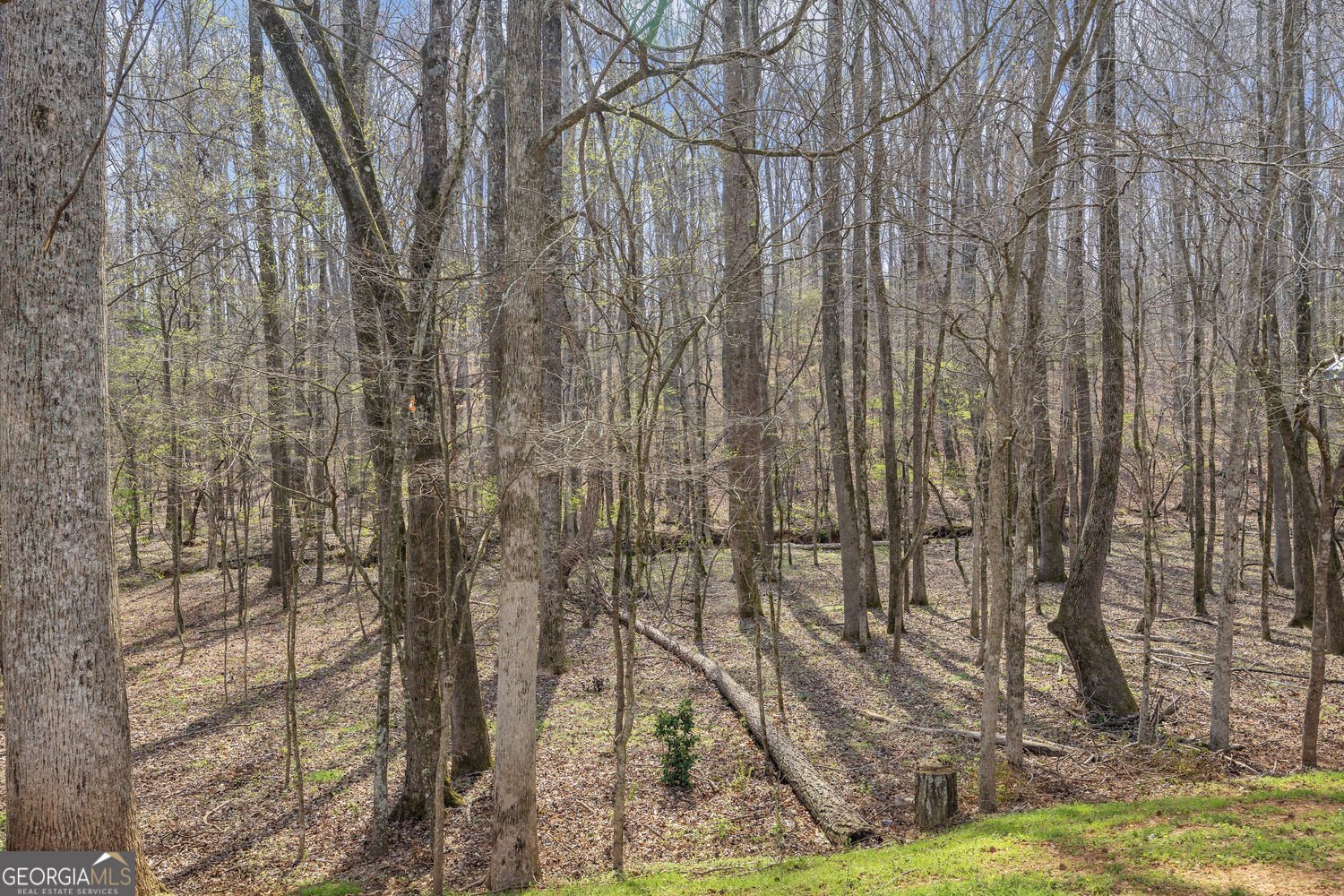 201 Wisteria Way Athens - Photo 32