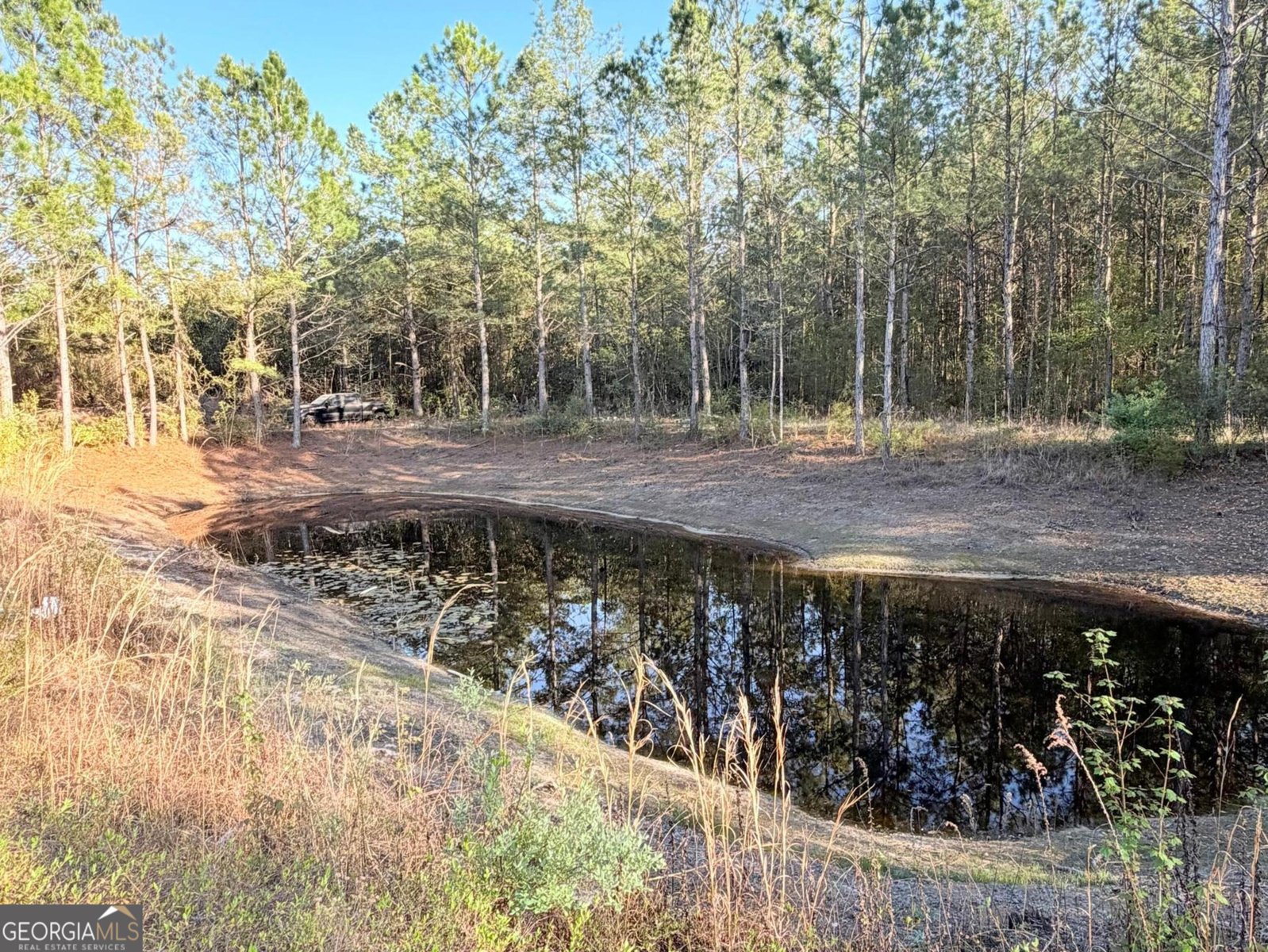 161 Sweetgum Road Hortense - Photo 16