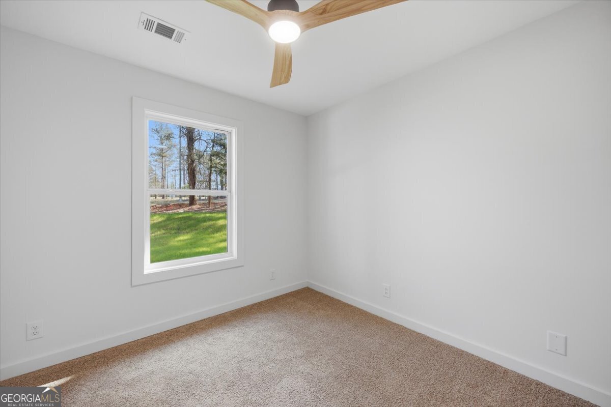 392 GA Hwy 74 Molena - Photo 18