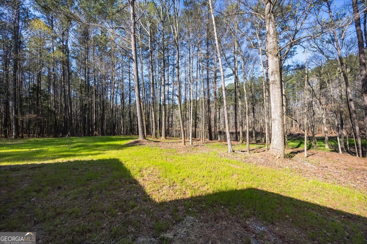 392 GA Hwy 74 Molena - Photo 27