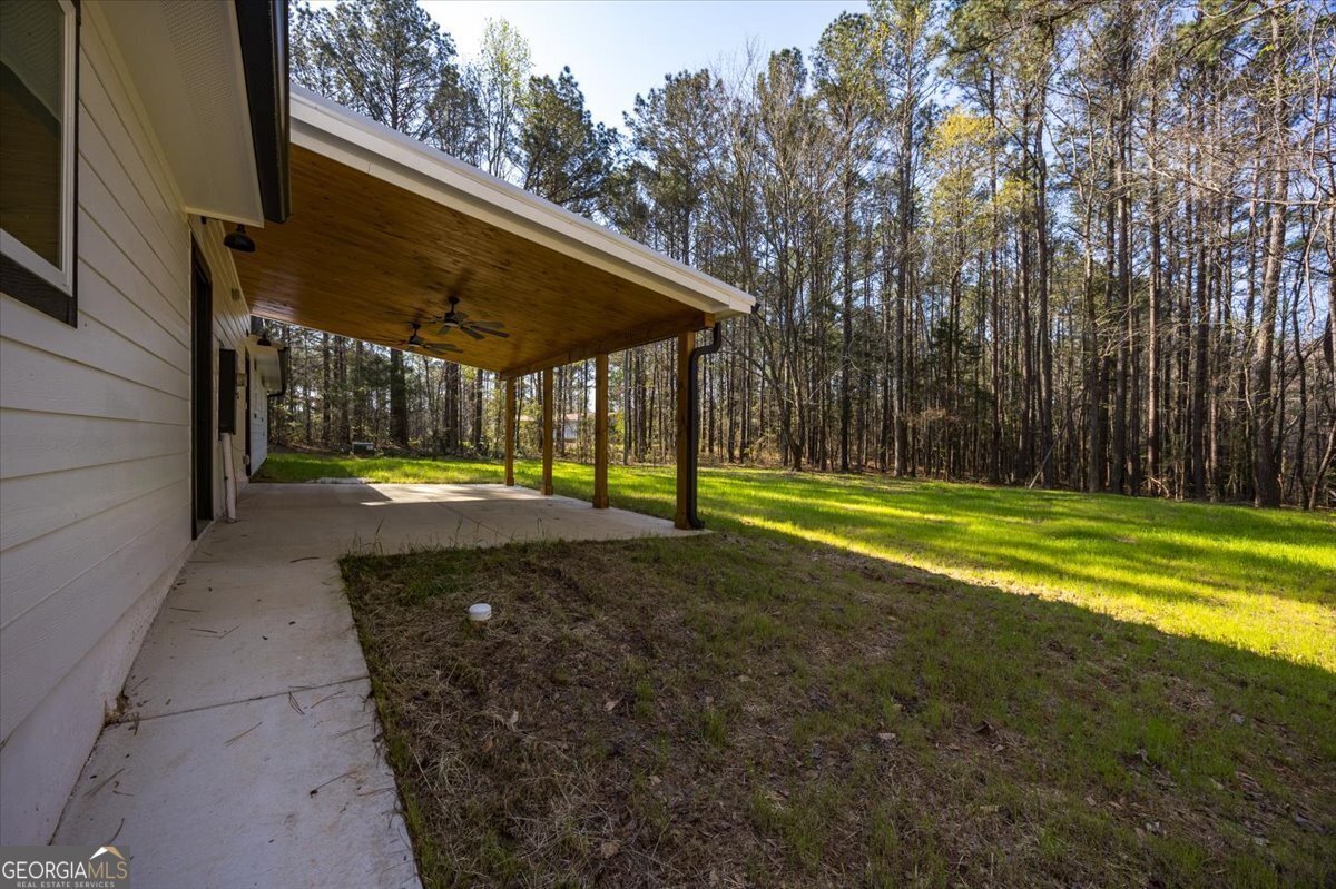 392 GA Hwy 74 Molena - Photo 28