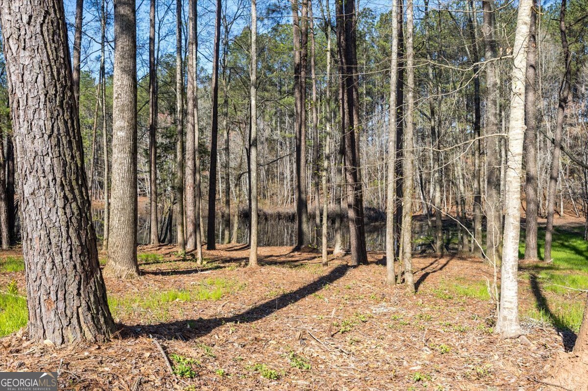 392 GA Hwy 74 Molena - Photo 29