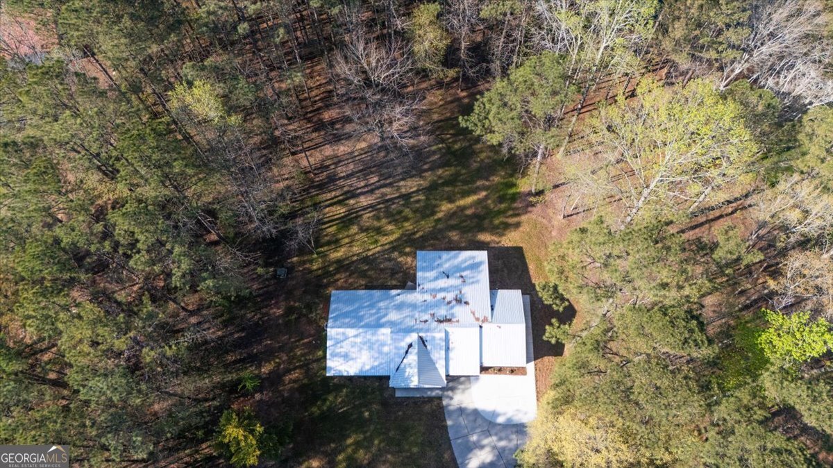 392 GA Hwy 74 Molena - Photo 35