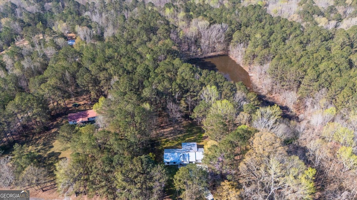 392 GA Hwy 74 Molena - Photo 36