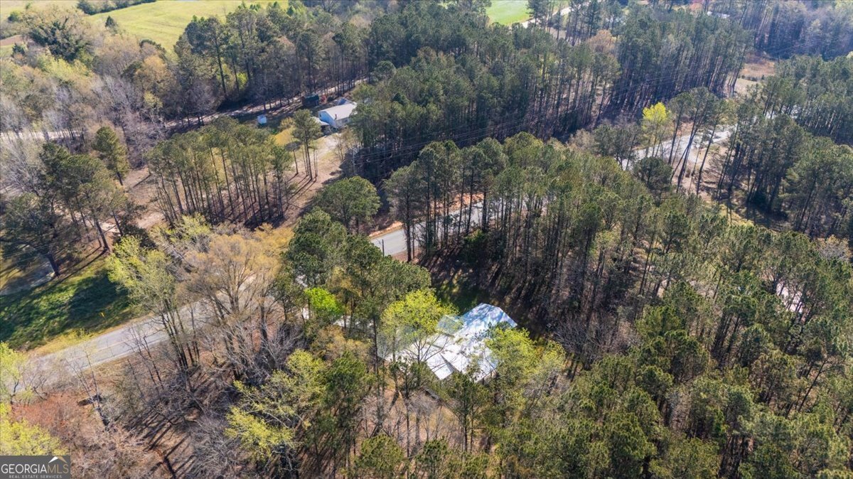 392 GA Hwy 74 Molena - Photo 37