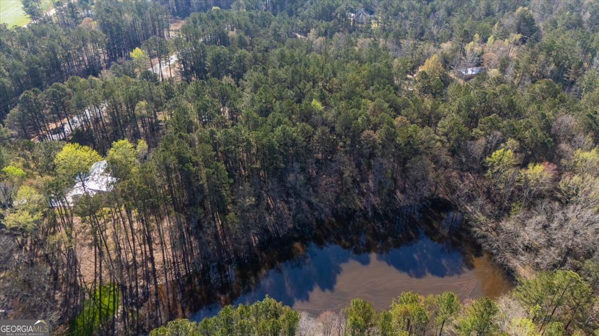 392 GA Hwy 74 Molena - Photo 38