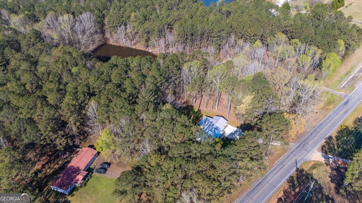 392 GA Hwy 74 Molena - Photo 39