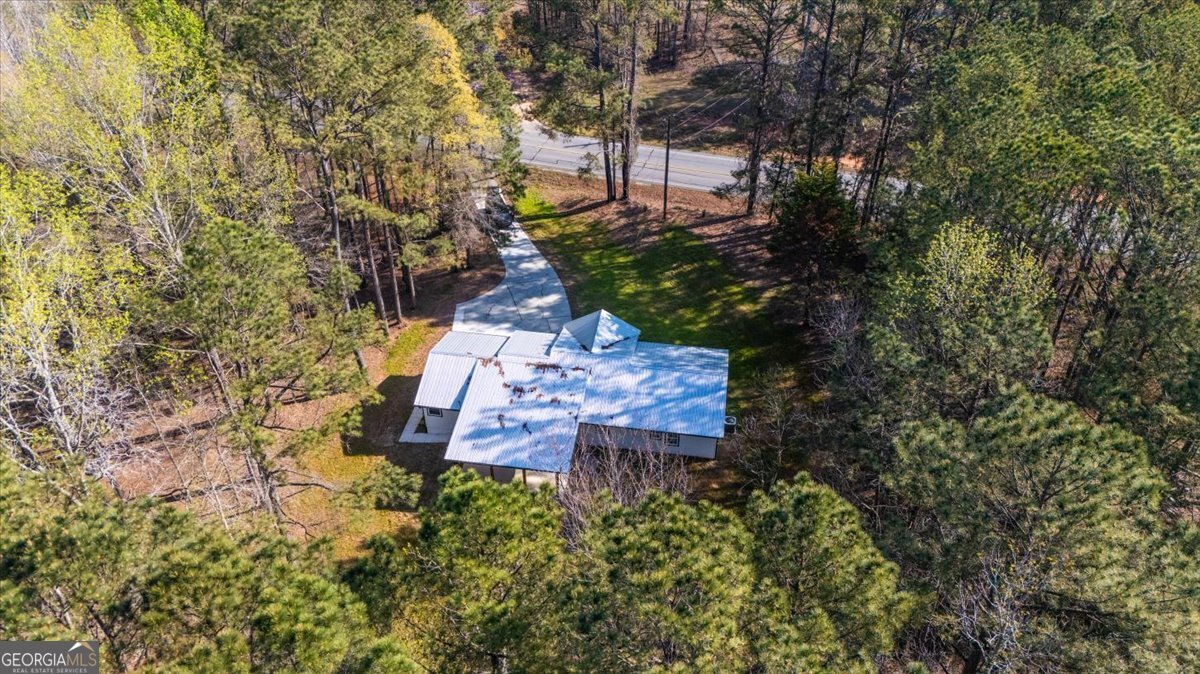 392 GA Hwy 74 Molena - Photo 41