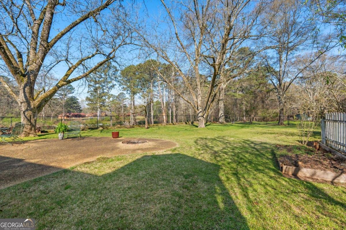 407 East College Street Bowdon - Photo 38