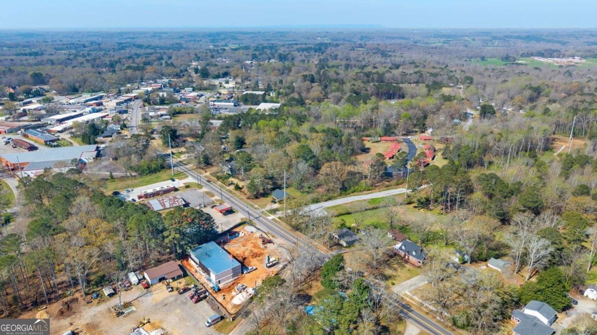 407 East College Street Bowdon - Photo 42