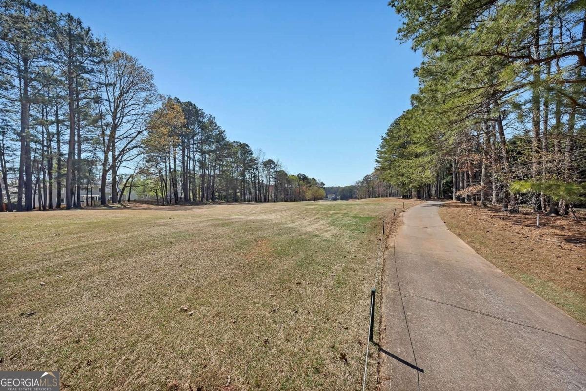 3007 Ironhill Way Woodstock - Photo 53