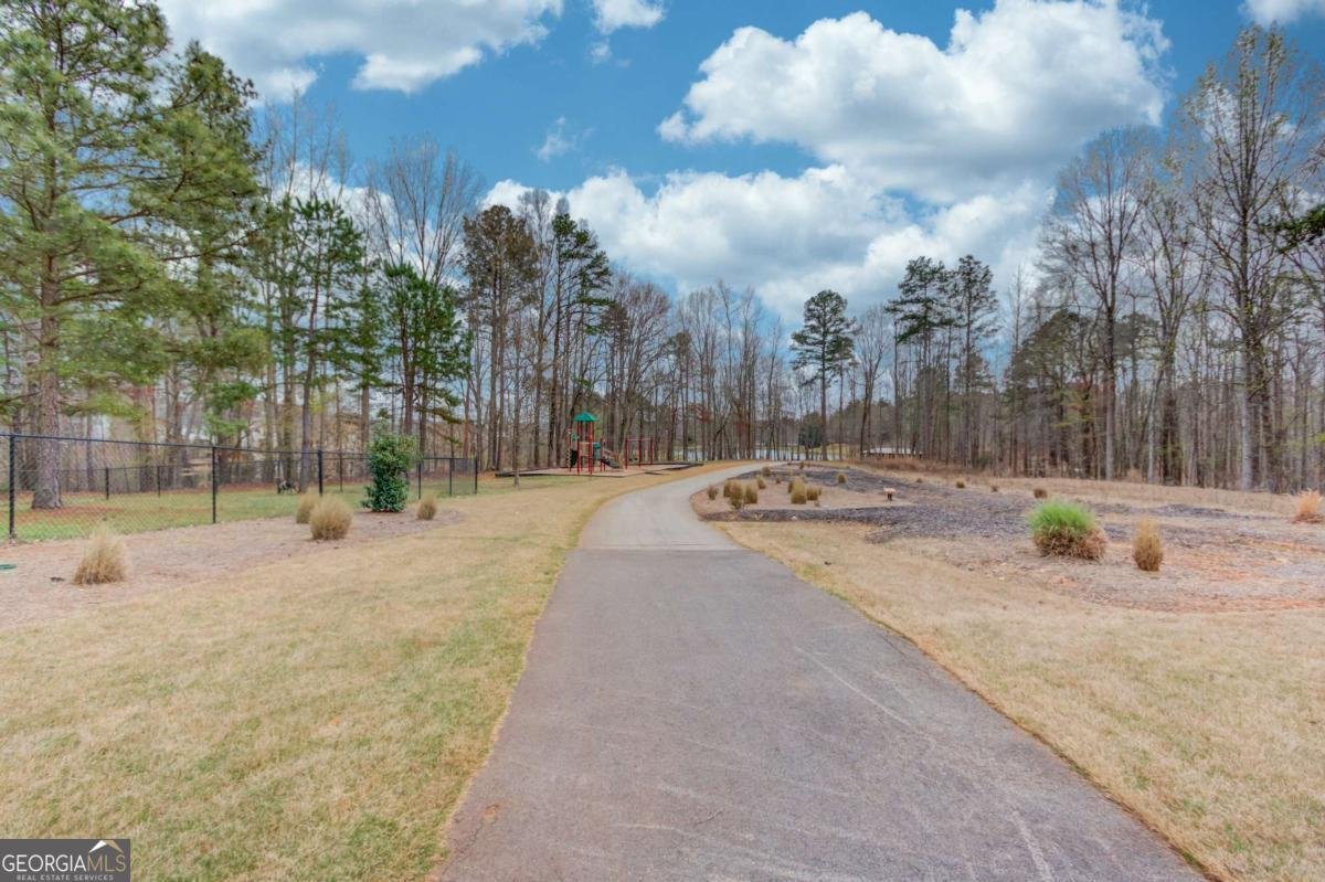 394 Murray Lane Hoschton - Photo 34