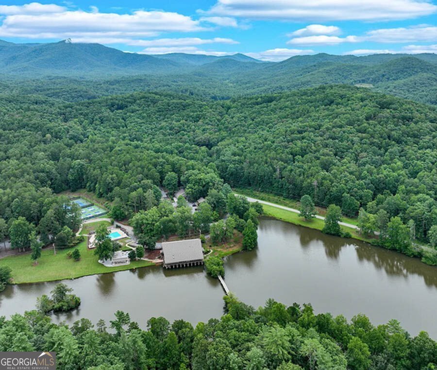 120 Hawks Nest Sautee Nacoochee - Photo 33