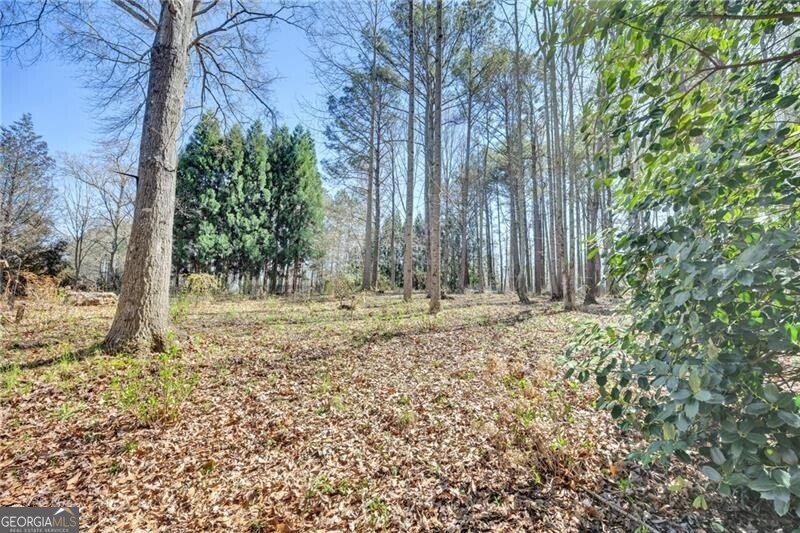 7332 Lake Walton Boulevard Covington - Photo 83