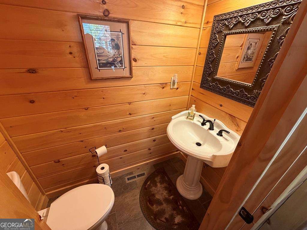 740 Highland Gap Mineral Bluff - Photo 26