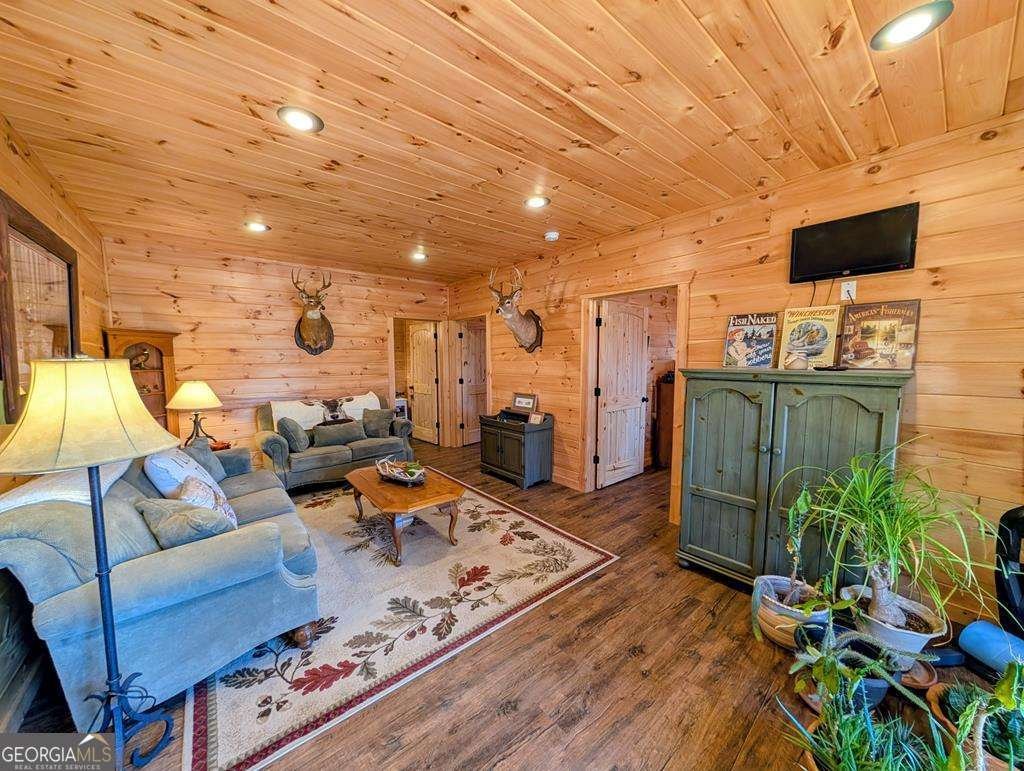 740 Highland Gap Mineral Bluff - Photo 50